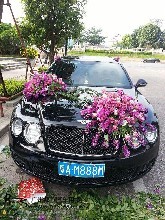 廣州市好正名車匯汽車服務(wù)咨詢